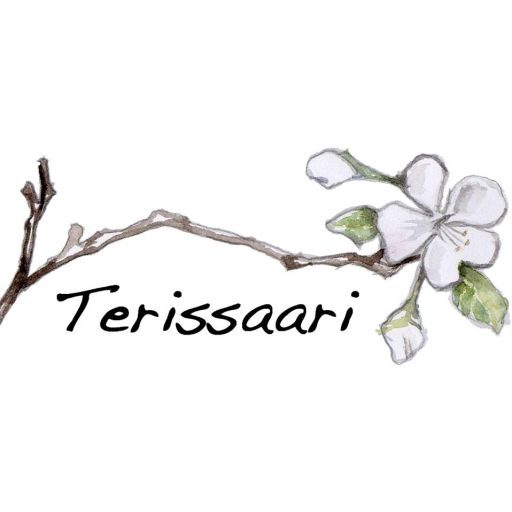 Terissaari